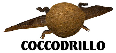 COCCO.jpg