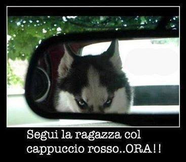 segui.jpg