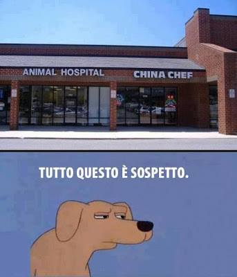 tutto-questo-e-sospetto.jpg