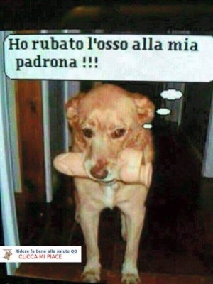 image.jpg