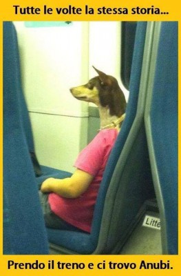 anubi-treno.jpg