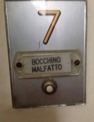 image.jpeg