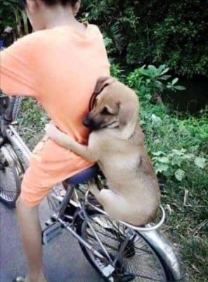 image.jpeg