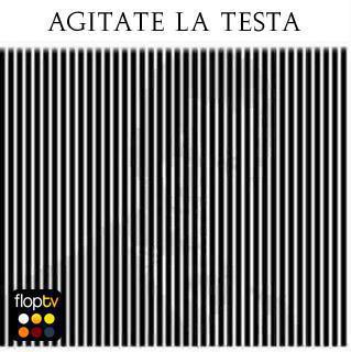 432186_238311369590126_126989720722292_533964_618979153_n.jpg